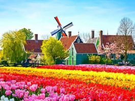 Thời điểm du lịch Hà Lan lý tưởng nhất dành cho du khách lựa chọn