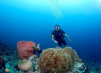 Đảo Bunaken – thiên đường lặn biển lý tưởng trong tour du lịch Indonesia Đảo Bunaken - thiên đường lặn biển lý tưởng trong tour du lịch Indonesia