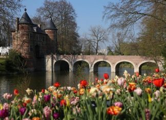 Hòa mình vào lễ hội hoa Floralia Brussels sắc màu khi du lịch Bỉ Hòa mình vào lễ hội hoa Floralia Brussels sắc màu khi du lịch Bỉ