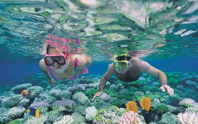 Du lịch đảo Lord Howe - thiên đường nguyên sơ nổi tiếng tại Úc